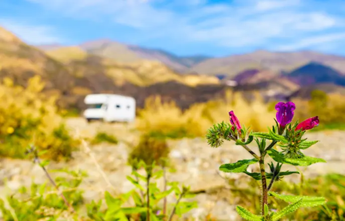 Moving Intelligence Insurance approved Leisure Tracking Systems